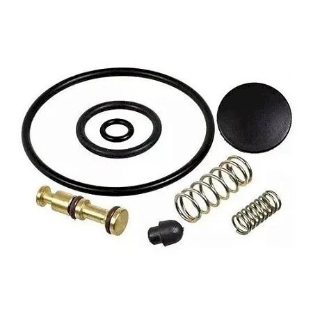 KIT DE SERVIÇO PARA PULVERIZADOR DE COMPRESSÃO PRÉVIA (PATO) - GUARANY