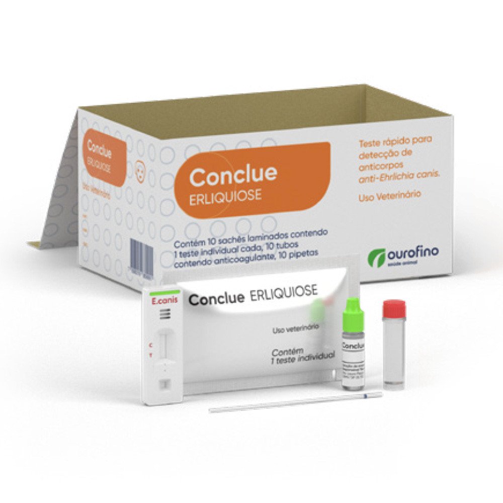 CONCLUE ERLIQUIOSE