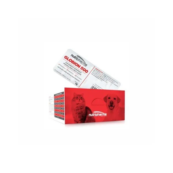 GLOBION PET 500 MG 10 BLISTERS