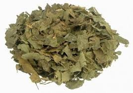 Chá de Bugre (Porongaba) - 50g 