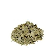Boldo Chileno - 50g