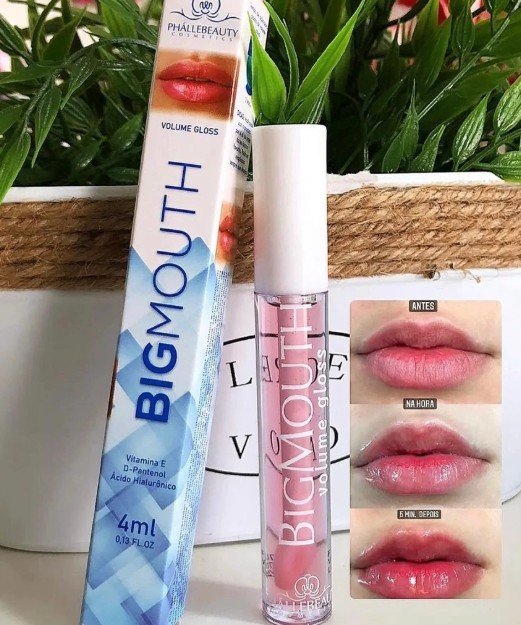 Gloss Volume Big Mouth Phallebeauty - Rosa 