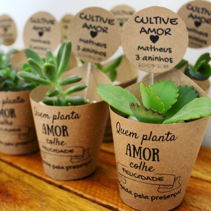 Rótulo + Tag com varetinha para Suculentas (Diversos-65)