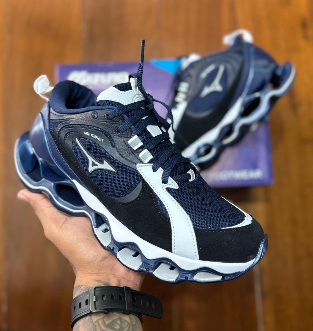 Mizuno wave prophecy 