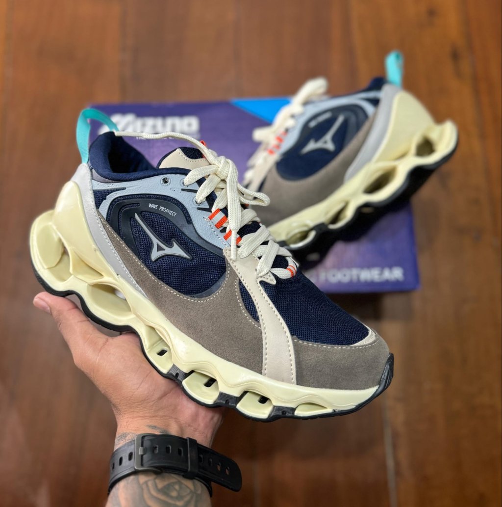 Mizuno wave prophecy 