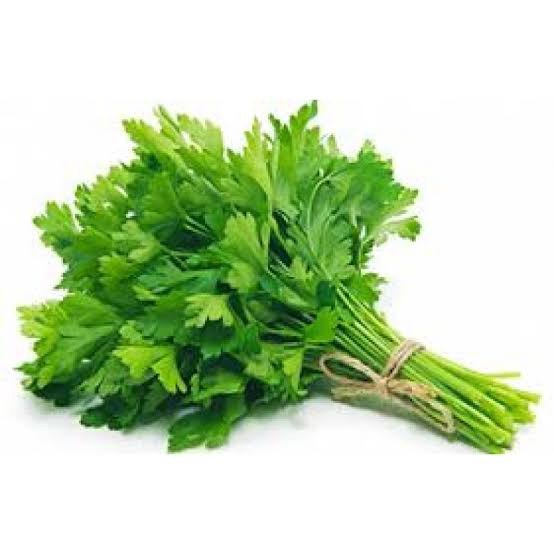 Salsa molho