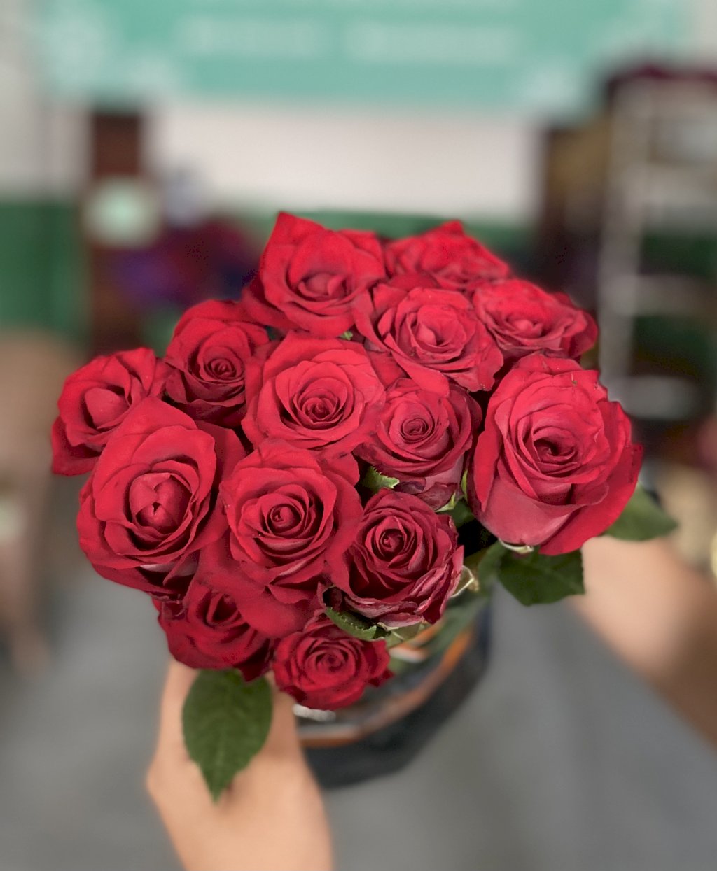 Rosa rebu 60cm 