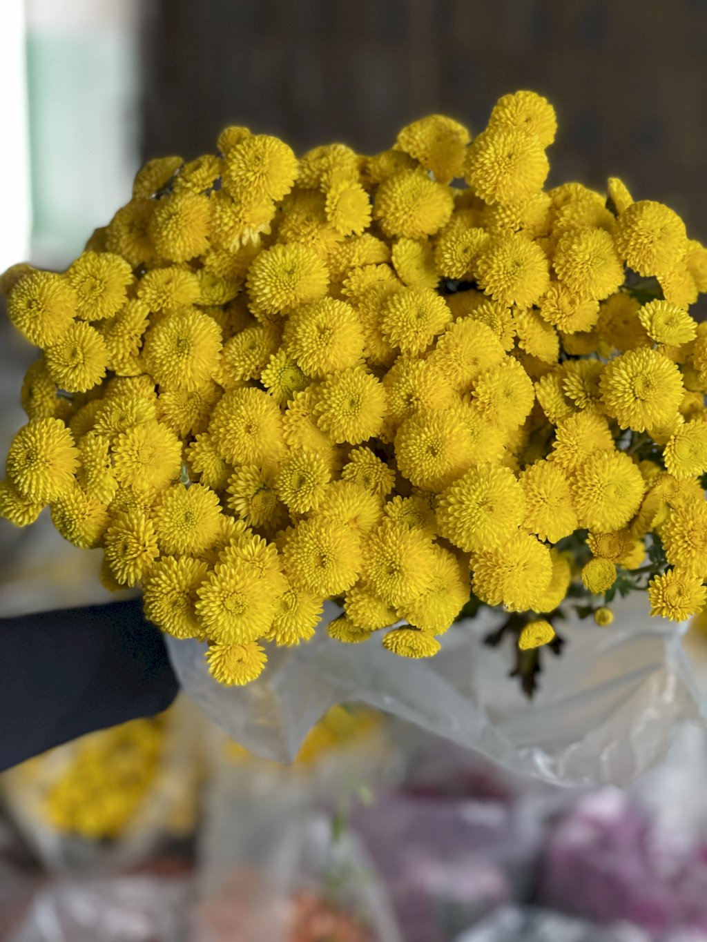 Pompom amarelo 