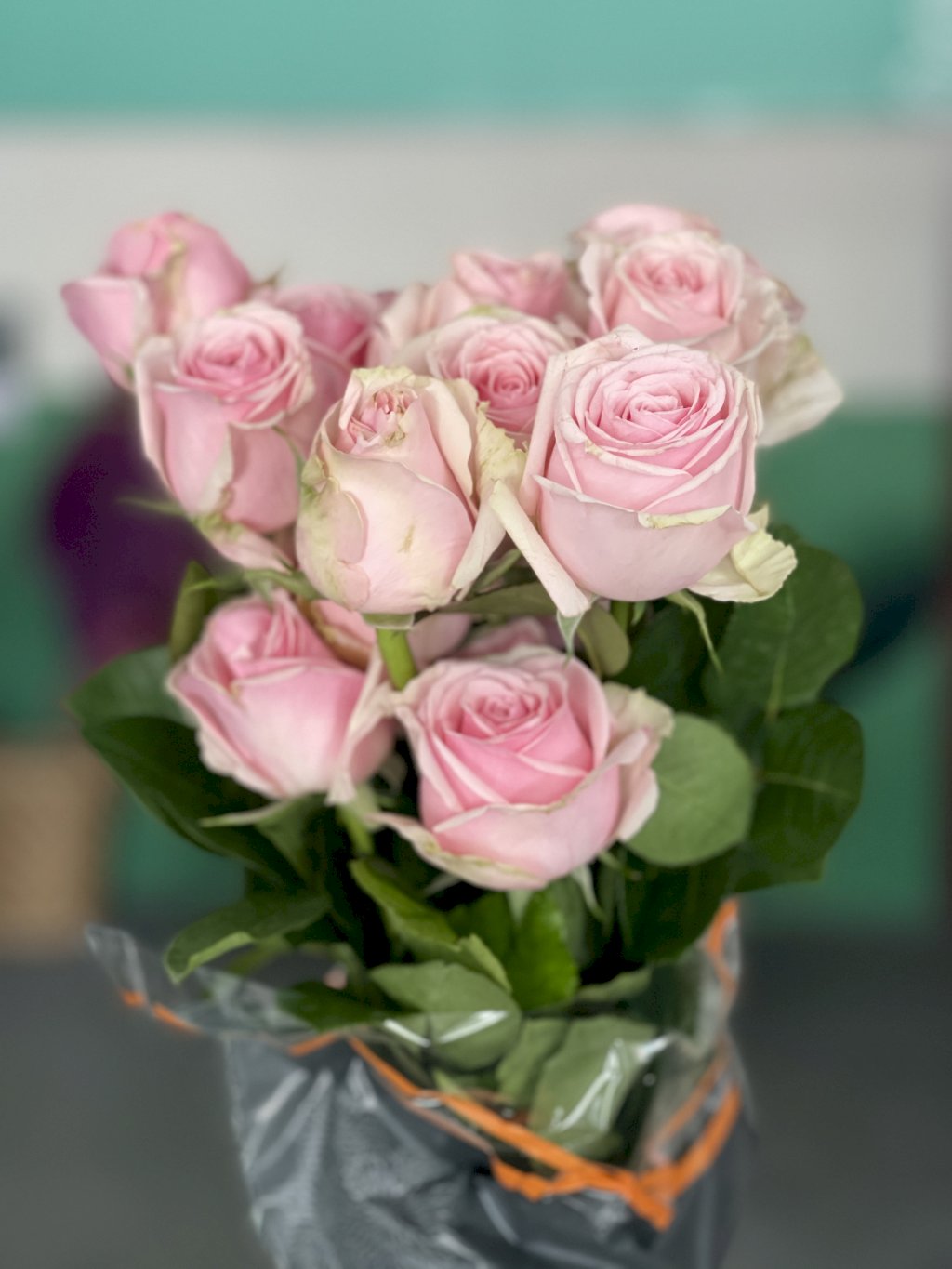 Rosa Sweet Memory 50cm