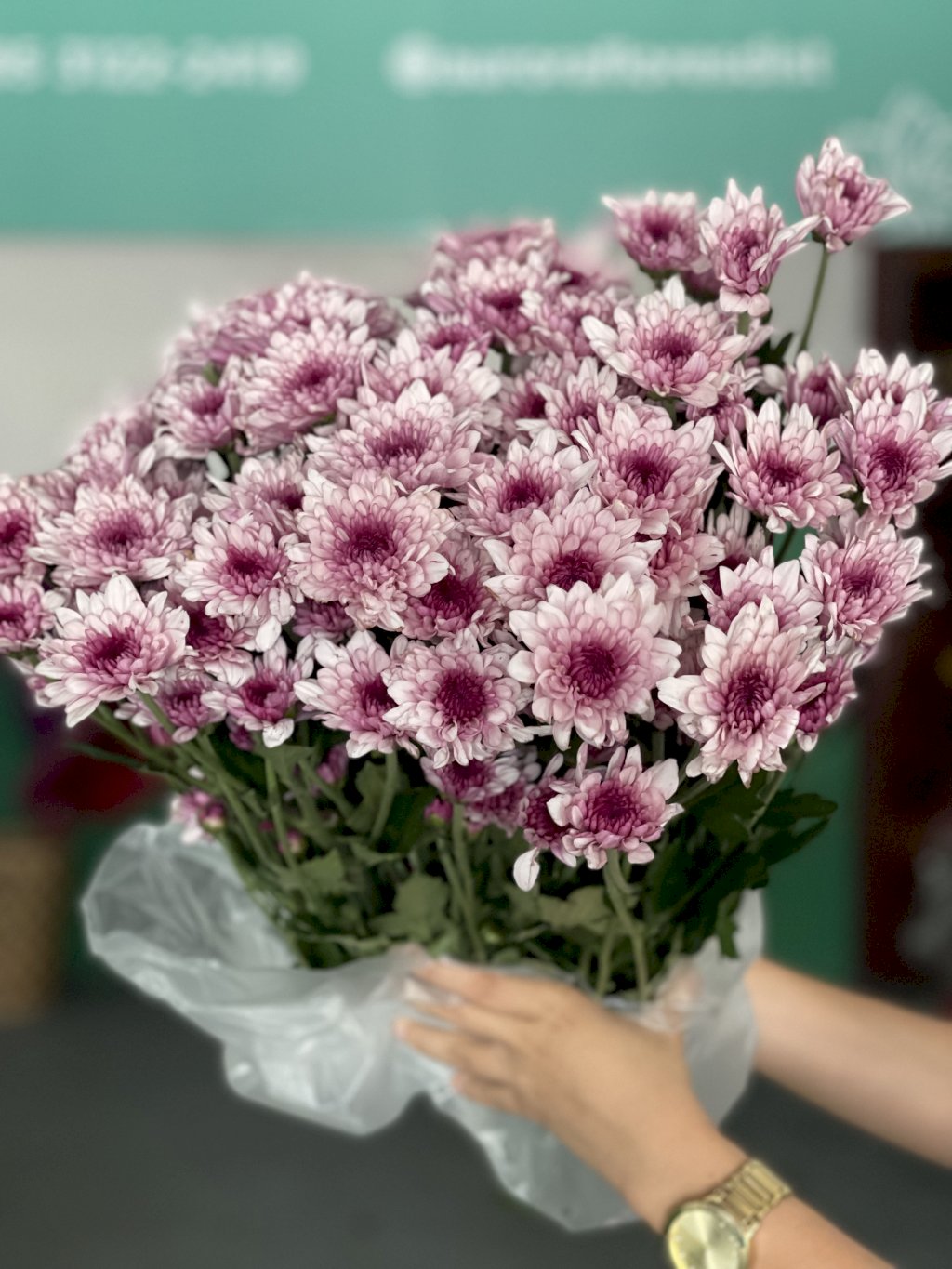 Margarida olho de gato lilás