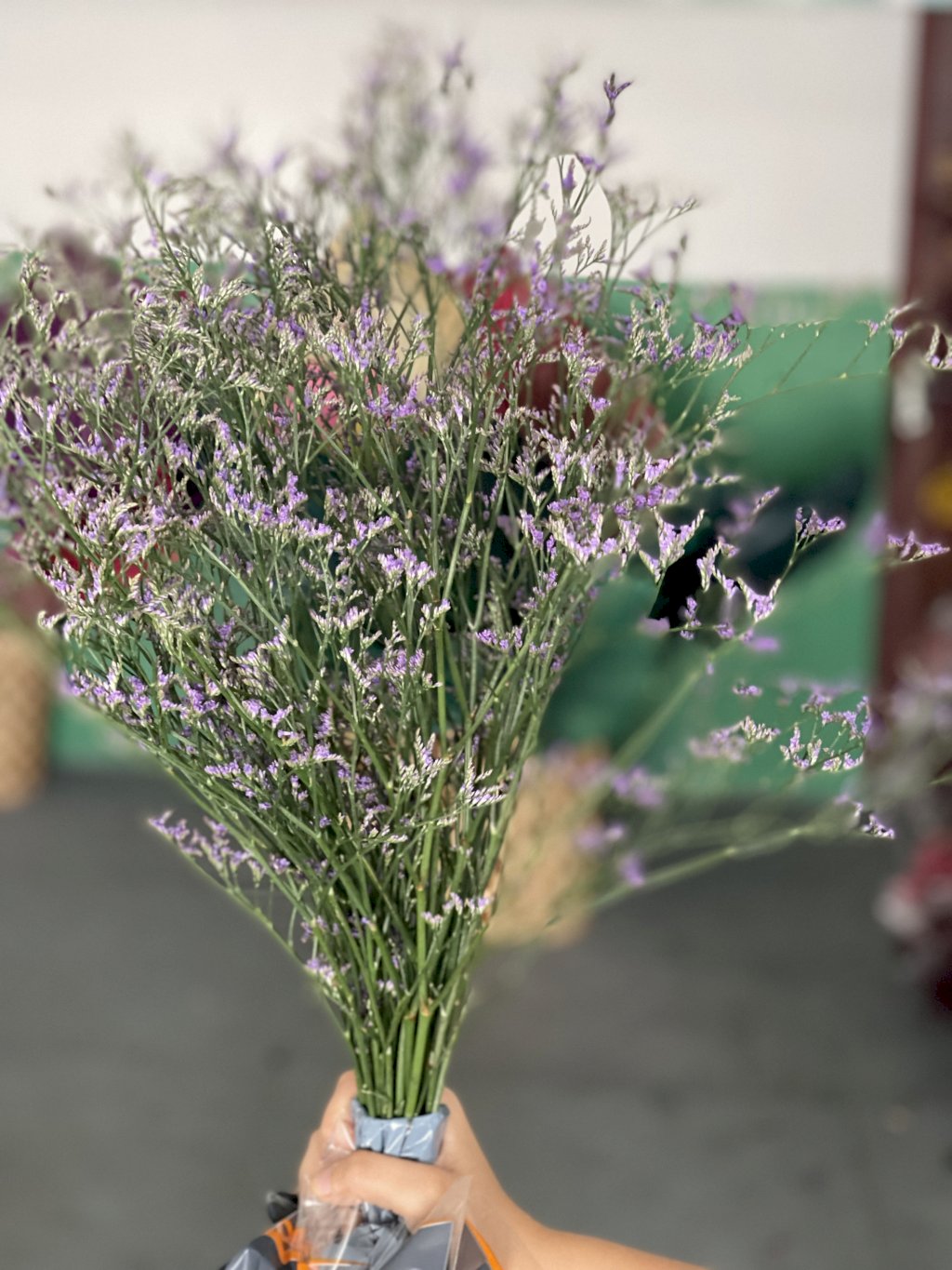 Latfolha lilás natural