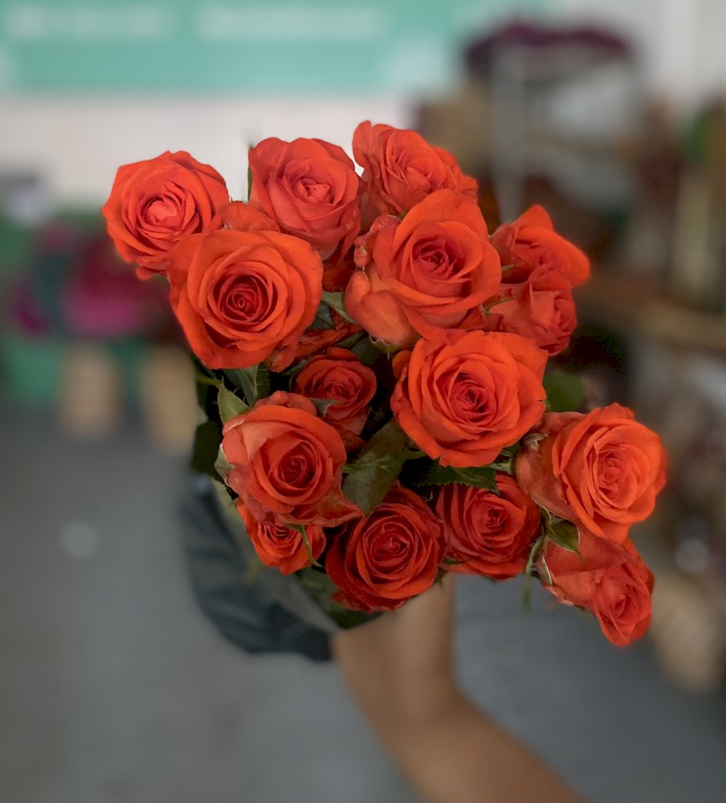 Rosa Santana 40cm