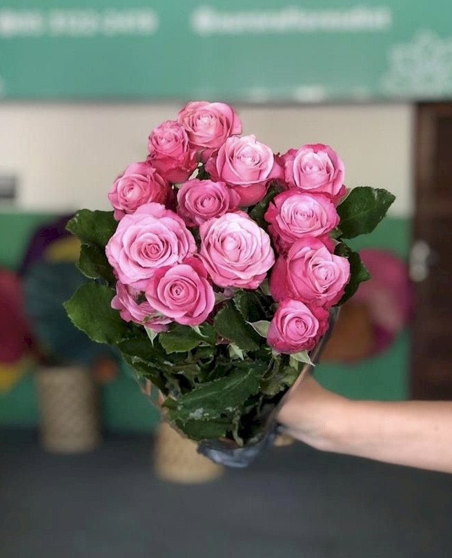 Rosa Deep Water 40cm