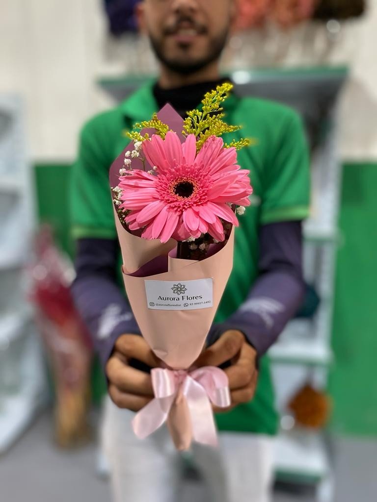 CONE COM GÉRBERA (1691)