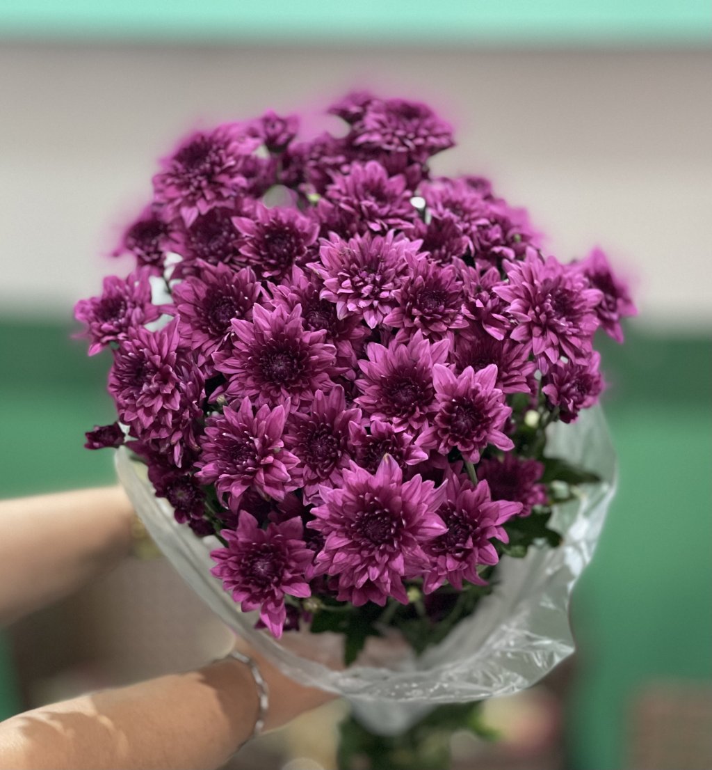 Pompom olho de gato pink