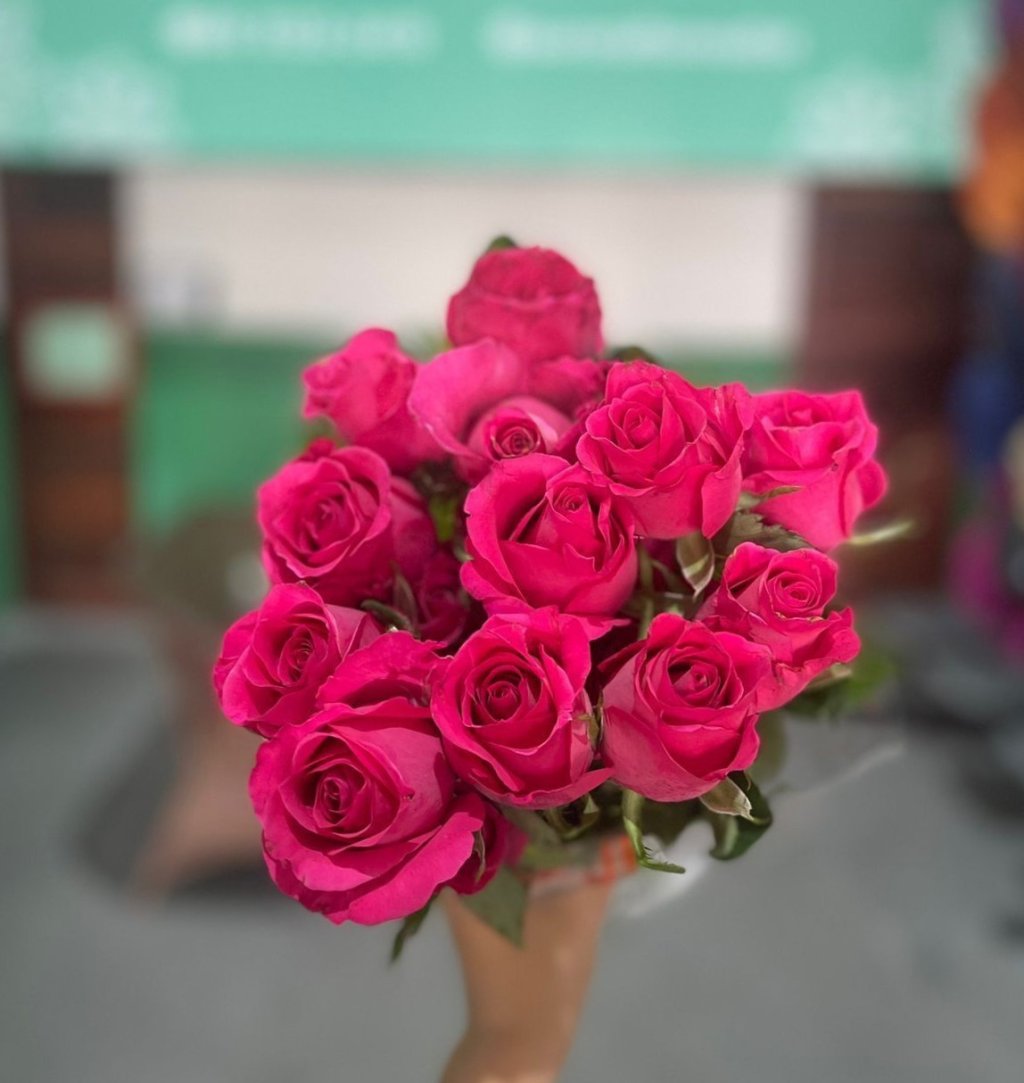 Rosa Hanset 40cm