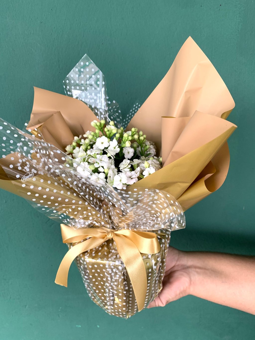 KALANCHOE EMBALADA PARA PRESENTE (936)