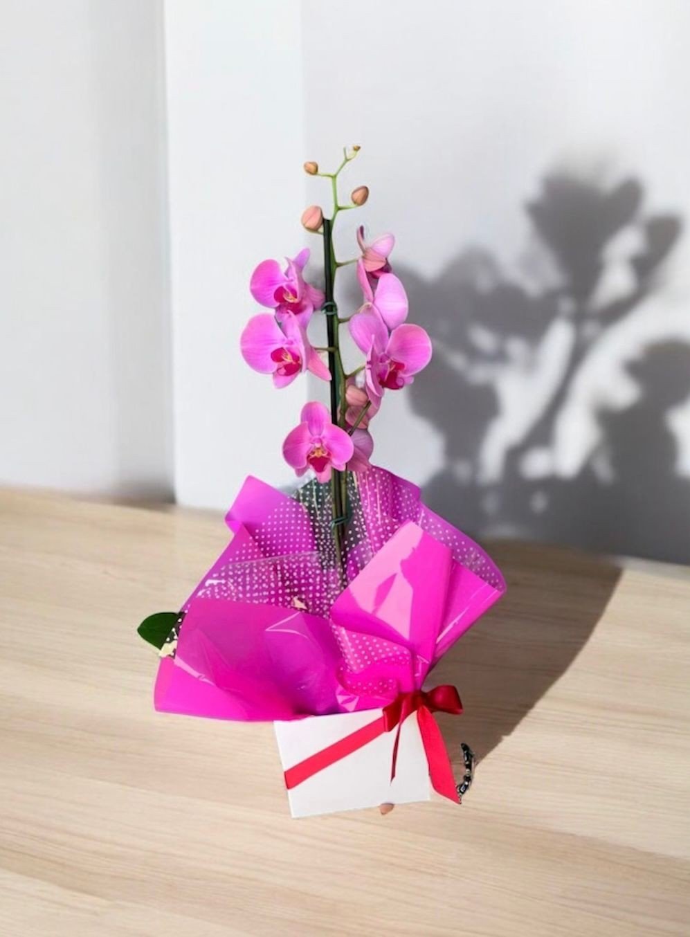 ORQUÍDEA ROSA NA BOX (442)