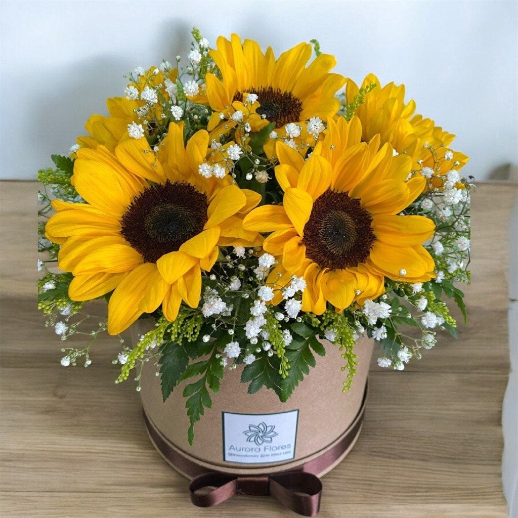 Box de Girassóis (1794)