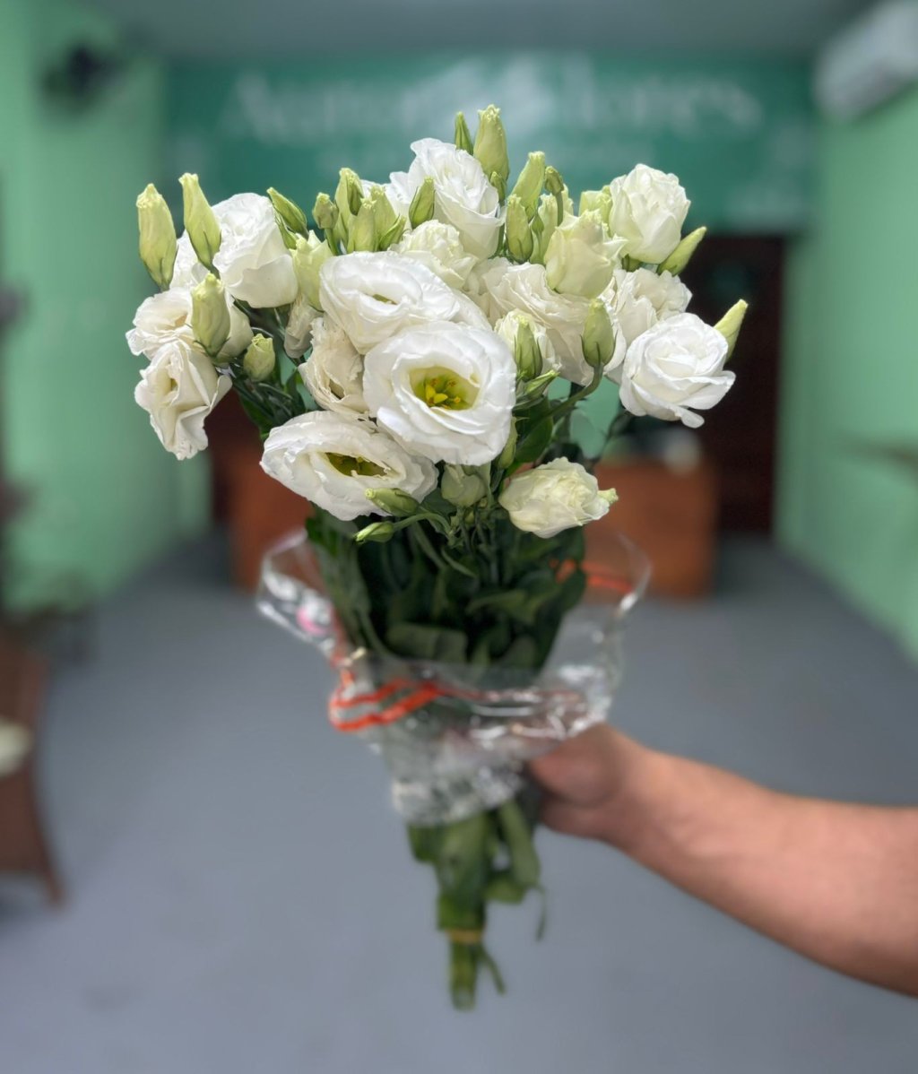 Lisianthus branco