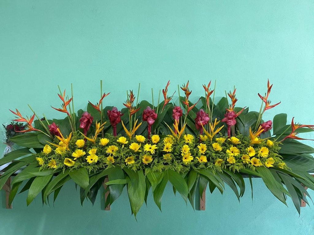 ARRANJO TROPICAL 