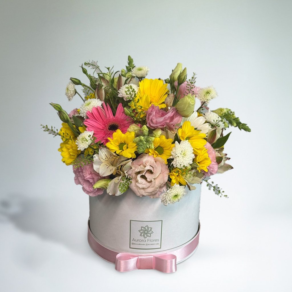 Box Mix Aurora (1581)