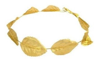 COROA DE LOUROS Y2069