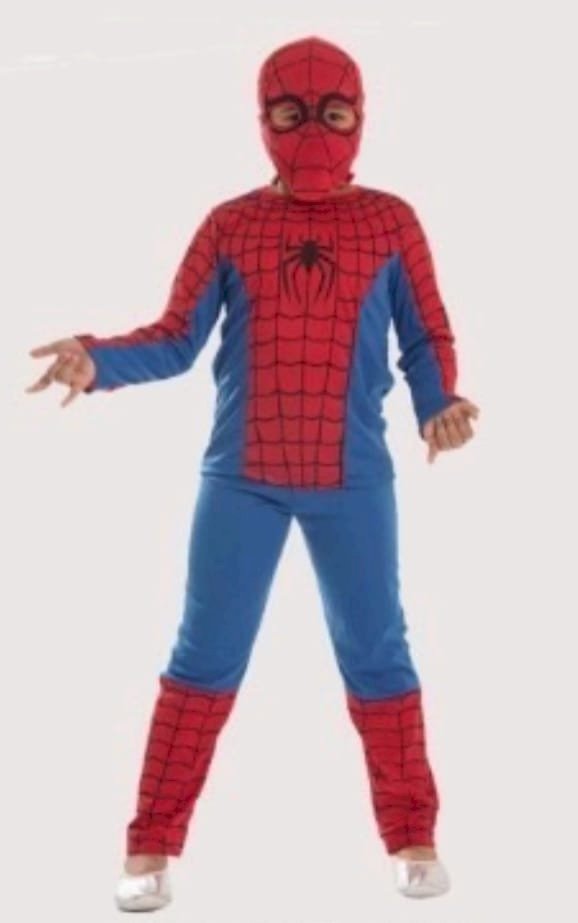 FANTASIA HOMEM ARANHA LONGO