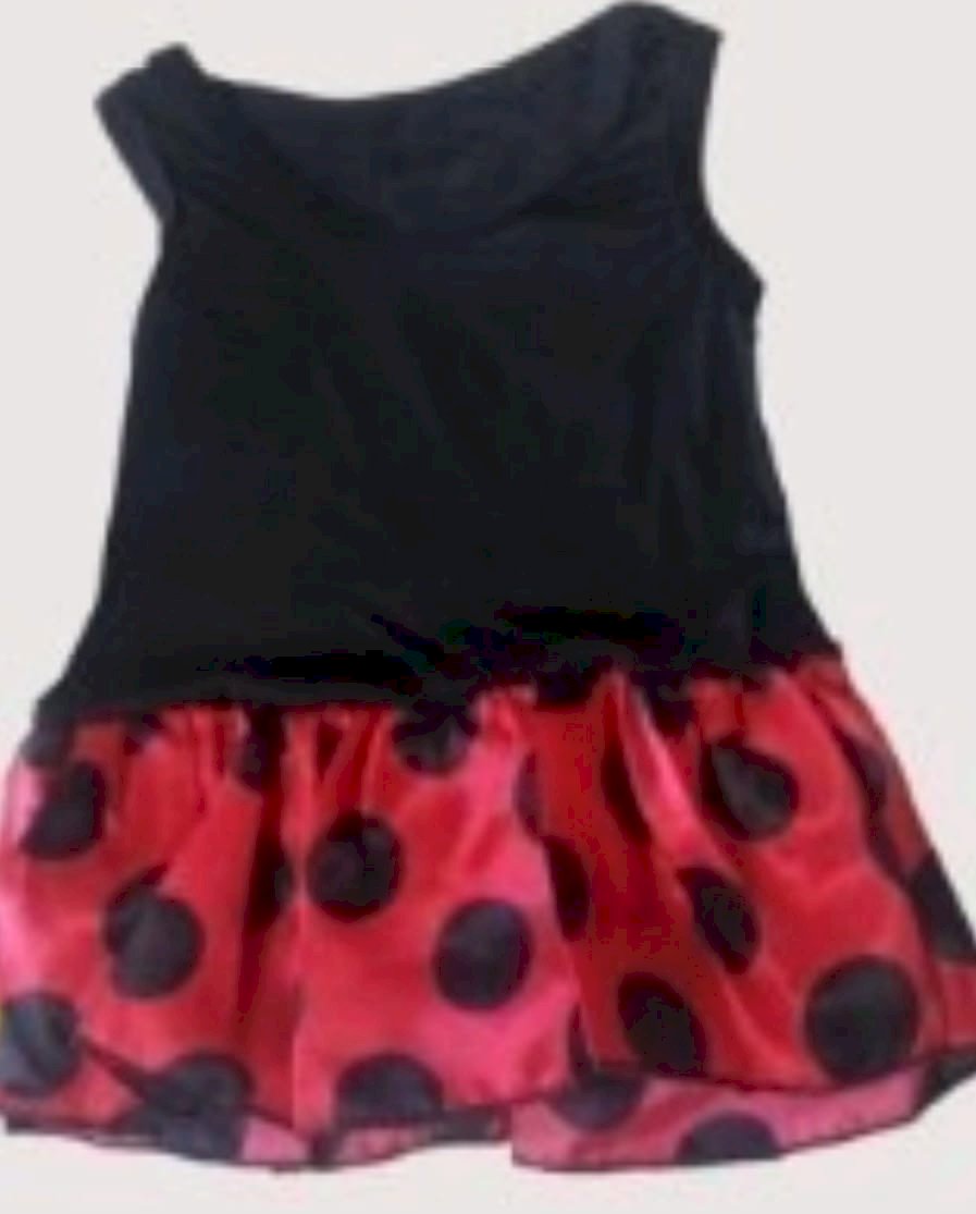 FANTASIA BODU JOANINHA