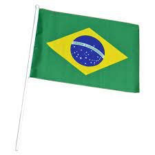 BANDEIRA PLASTICA DO BRASIL COM CABO 30X40CM