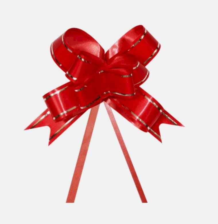 LACO FACIL 1,7X34CM C/10 UND VERMELHO