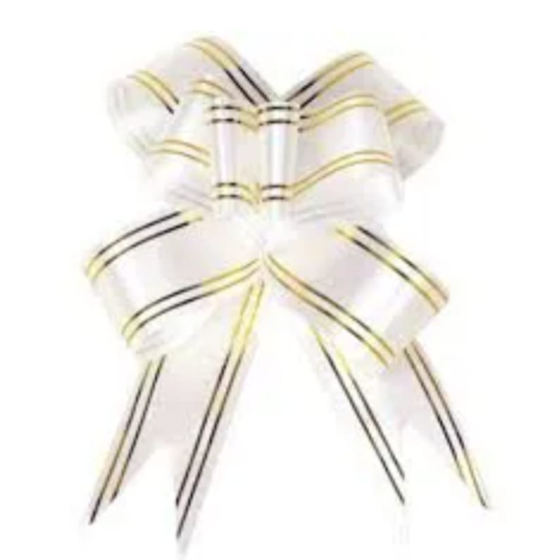 LACO FACIL 1,7X34CM C/10 UND BRANCO