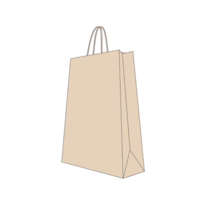 SACOLA KRAFT NATURAL 17,5CM X 8,5CM X 21,5CM C/10UND