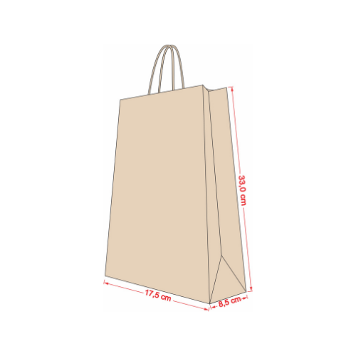 SACOLA KRAFT NATURAL 17,5CM X 8,5CM X 33CM C/10UND