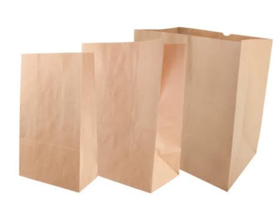 SACO KRAFT NATURAL 30CM X 19,5CM X 35CM C/10UND