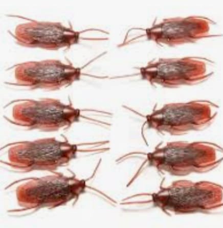 ENFEITE BAARATA PLASTICA C/10