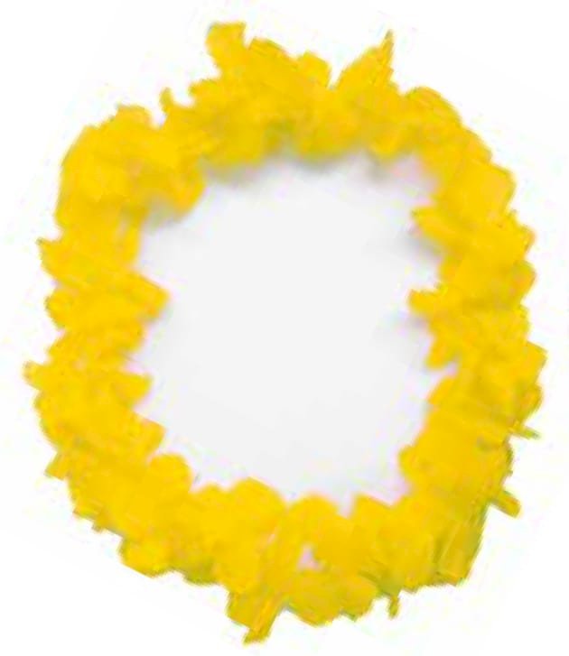 COLAR HAVAIANO AMARELO NEON PÉTALAS DUPLA