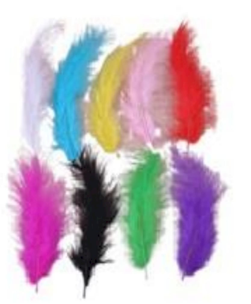 PENAS DECORATIVAS CORES DIVERSAS UND