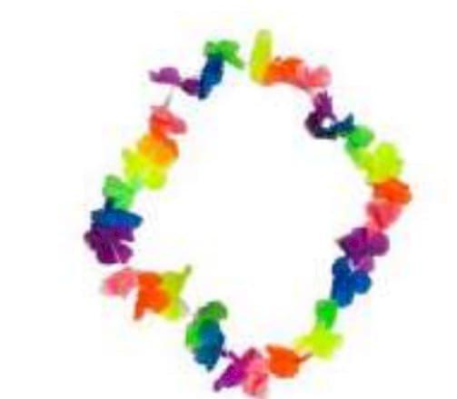 COLAR HAAVAIANO 50CM