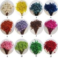 BUQUE DE FLORES 170 UND SEMPRE VIVA CORES DIVERSAS MAE