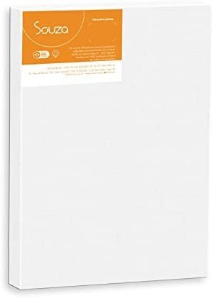 TELA SOUZA PARA PINTURA 30X40CM