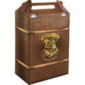 CAIXA SURPRESA HARRY POTTER C/8