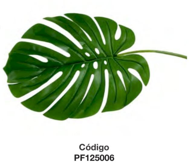 FOLHAGEM COSTELA DE ADAO 28X33CM UND