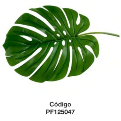 FOLHAGEM COSTELA DE ADAO 13X15CM UND