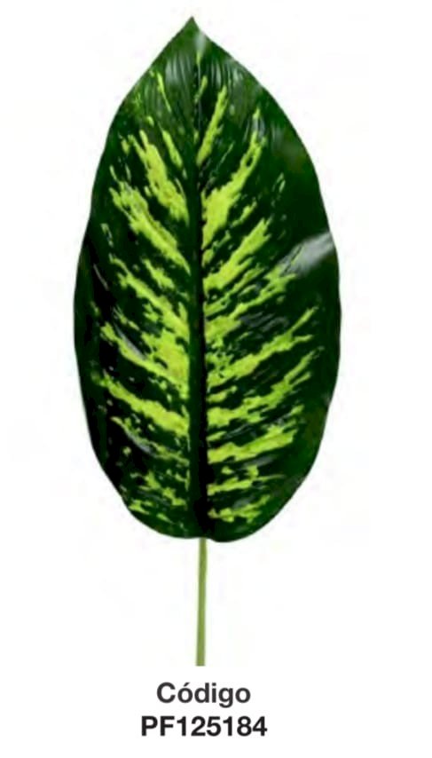 FOLHAGEM COMIGO NINGUEM PODE 50CM UND