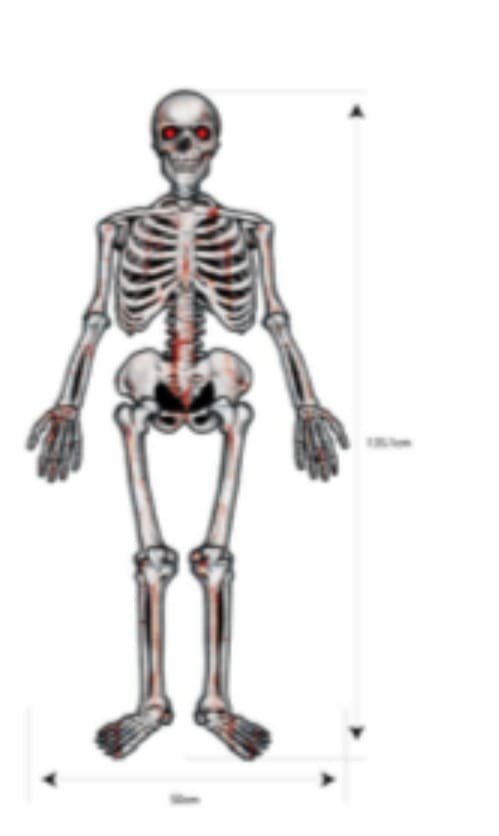 CAVEIRA DE PAPEL HALLOWEEN 135CM H212