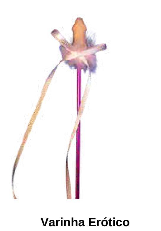 VARINHA DE CONDAO EROTICA