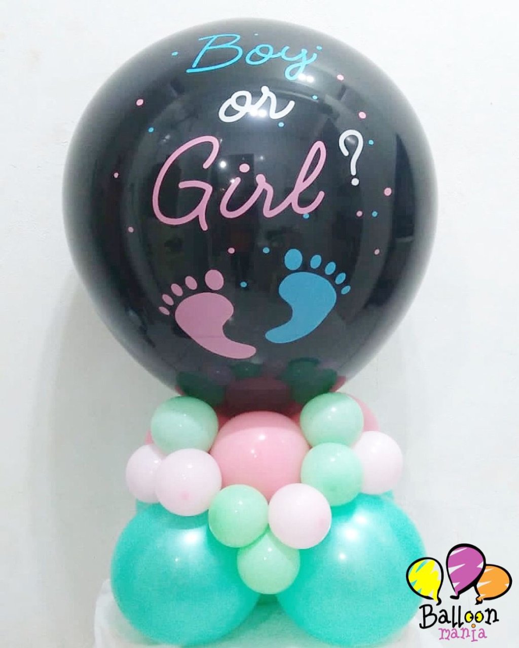 ARRANJO BALAO REVELACAO 2569785