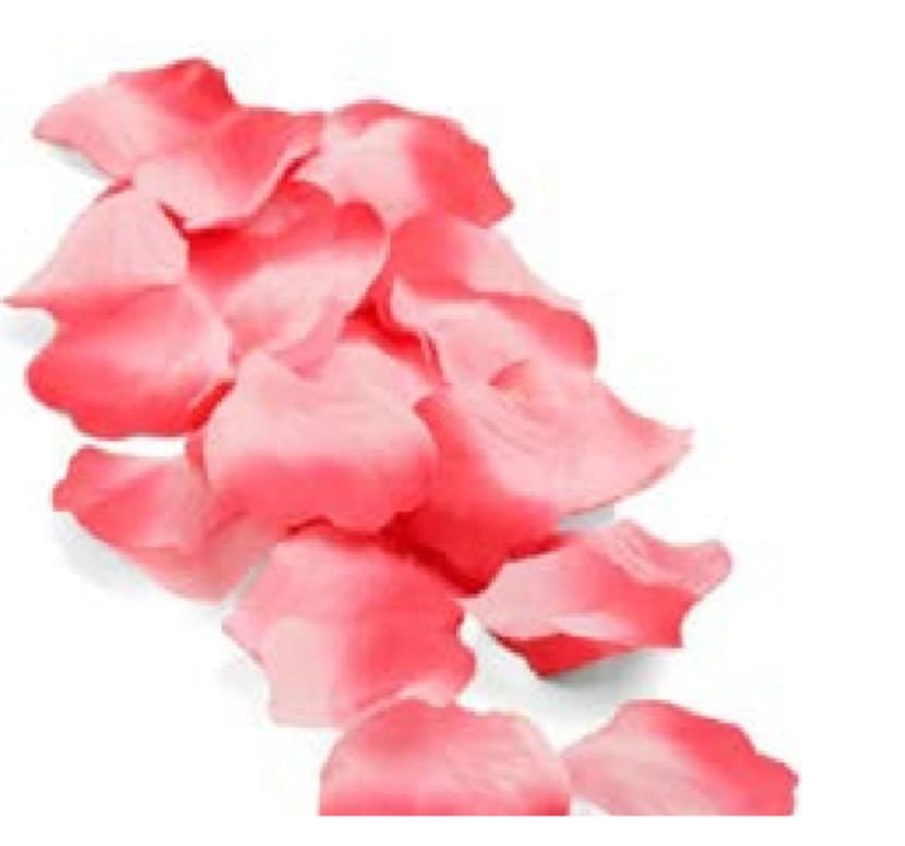 PETALAS DE ROSAS COR ROSA C/300UND