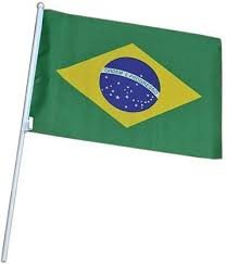 BANDEIRA EM TECIDO BRASIL COM HASTE DE MAO 30X45CM UND